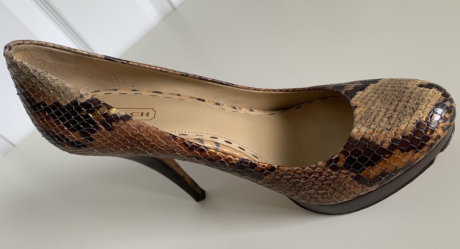 Python Skin Heels Coach Buffy High Heels Pumps Brown Snake Skin/PyThon… - Gem
