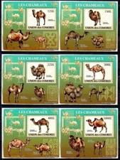 Comoro Islands 2009 Camels Dromedary Wildlife Animals Transport DeLuxe MNH