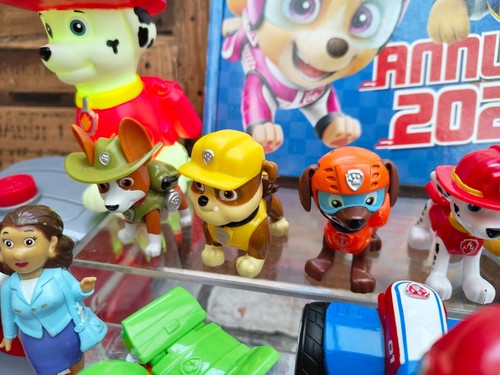 Paw Patrol Pup and Vehicle Bundle with Figures - Ryder Robo Dog Tracker Everest - 第 3/20 張圖片