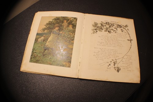 Daisy Days-E.P. Dutton-1887-Antique Children's Victorian Book-11 Chromos! - Picture 17 of 23