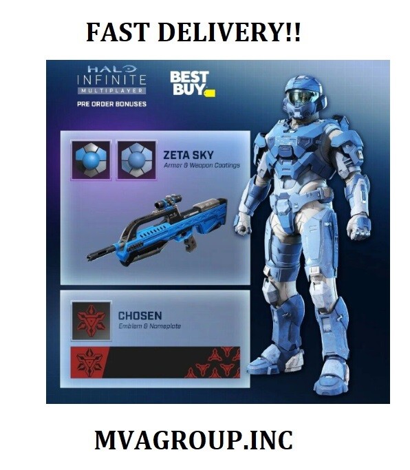 Halo Infinite Code Zeta Sky Armor Coating Chosen Emblem and Nameplate  BR75 DLC