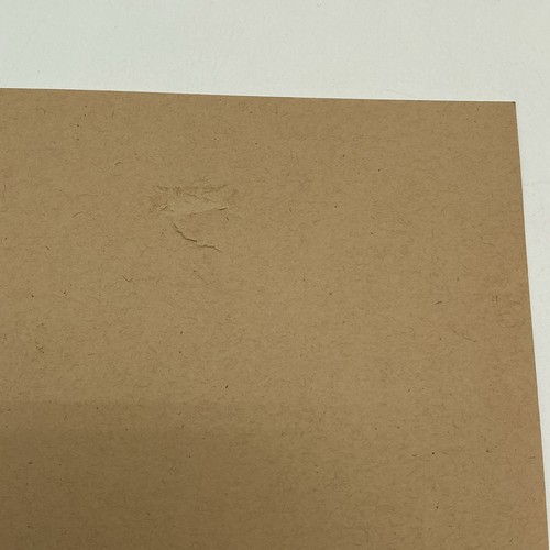 Bison Bookbinding Letterpress Print – Buffalo Head – Unforgettable – Handmade - Picture 5 of 8