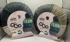 2 Yarnspirations Caron Colorama O’Go Quick-Start 100% Acrylic Yarn Salt And Pep