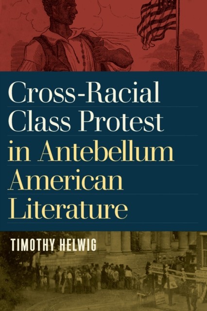 Cross–Racial Class Protest in Antebellum American Literature Helwig Paperback