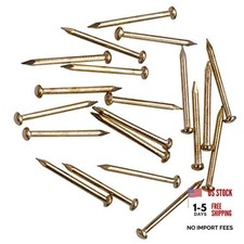 Hardware Nail Assortment Kit 300pcs , Brass Plated Nails for Hanging 20MM