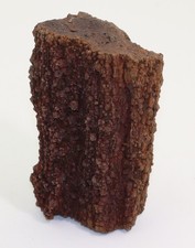 Limonitisiertes Holz, Tertiär, Miozän, Sophienhöhe, Tagebau Hambach, BRD-N135