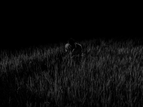 New Sealed SIGNED Alex Majoli Scene Photographs Drama English Edition 1st PB - Picture 4 of 8