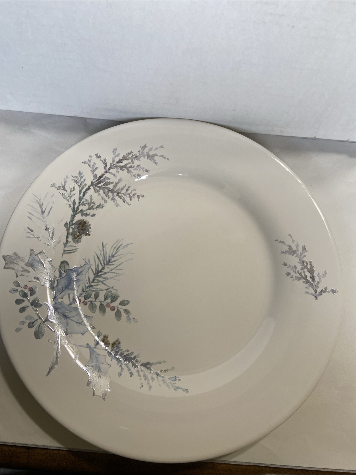 New Retired Pfaltzgraff USA WINTER FROST Dinner Plate 11 1/8