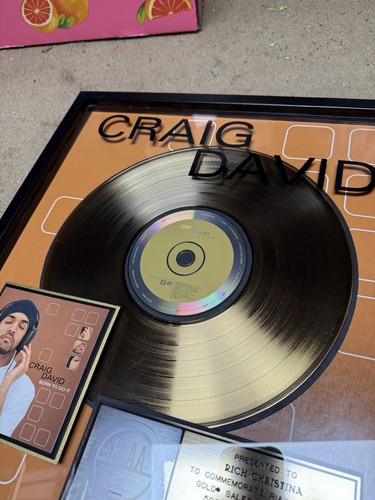 Premio Vendita Certificato Craig David Gold RIAA RARO "Born To Do It" - Foto 10 di 24