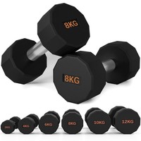 SPORTNOW Dumbbells Weights Set with 12-Sided Shape and Non-Slip Grip, 2 x 8kg