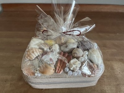 Muschel- Scmuckbox