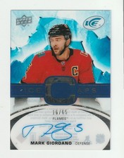 2017-18 Upper Deck Ice Hockey Cards 14