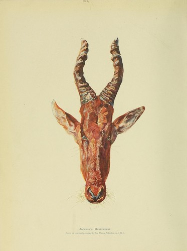 Animal life and the world of nature 1902-1904 - 2 Pdf E-books 1 Data DVD Zoology - Picture 7 of 12