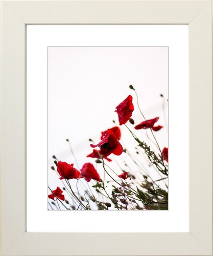 White photo picture frame Square with white and black mount All sizes 10x8 A3 A4 - Picture 3 of 39