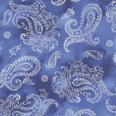 Garden Grandeur White Paisley Blue Floral Ivy Lane Fabric By the FQ - 1/4 YD