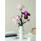 Foto 2 di 5