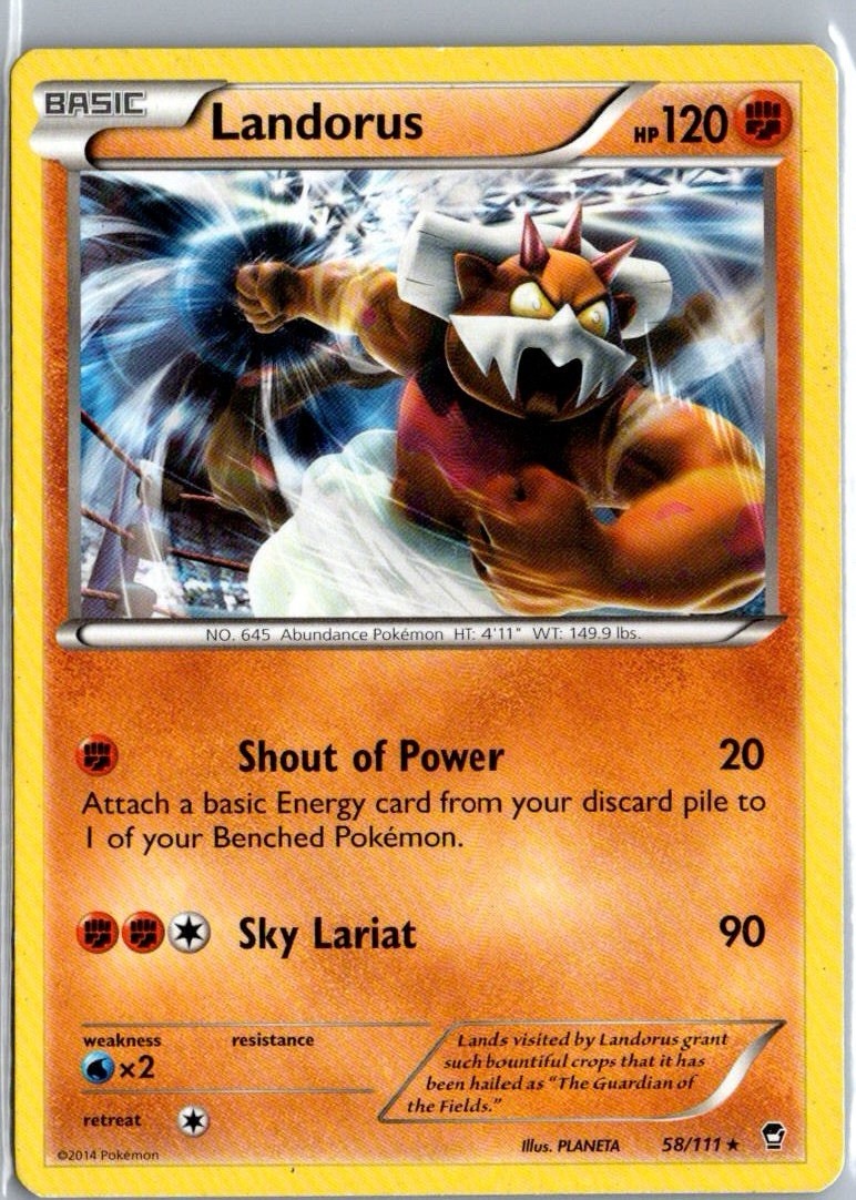 Landorus 58/111 - Pokemon XY Furious Fists Card