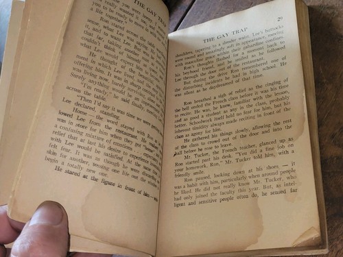 1966 THE GAY TRAP Gay Interest Pulp Paperback SUNDOWN READER Don Holliday - Imagen 7 de 14