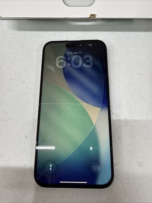 Apple iPhone 15 Pro Max 256GB Unlocked A2849 Black Titanium (Replaced Screen!)