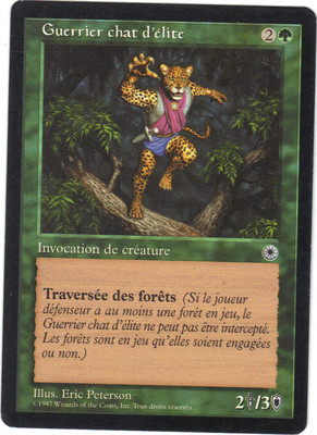 Magic - Elite Katzenkrieger
