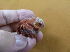 Y-SPI-20) little red white TARANTULA spider gem stone figurine SOAPSTONE spiders