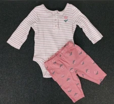 Carter's Baby Girl Flower & Ladybug Bodysuit & Pants (2-Piece Outfit) Size 3 M