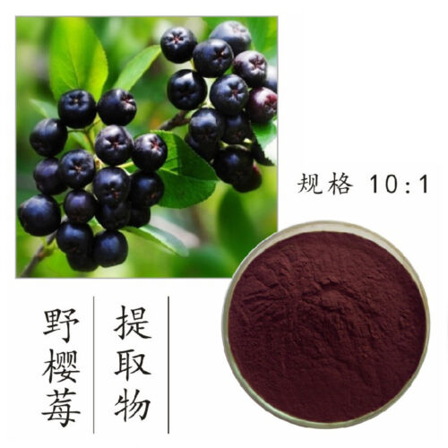 QBG Organic Aronia Berry 10:1 extrait poudre d'étranglement 200 g - Photo 1/1