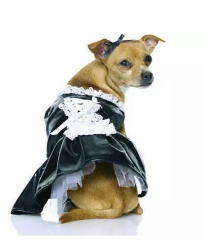 Leg Avenue Sexy French Maid, Dog Halloween Costume, Medium Pet - Picture 1 of 2