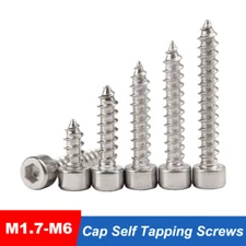 Allen Key Socket Cap Self Tapping Screws A2 Stainless Steel M1.7 M2 M2.3 M3 -M6