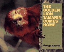 THE GOLDEN LION TAMARIN COMES HOME By George Ancona - Hardcover *Mint Condition*