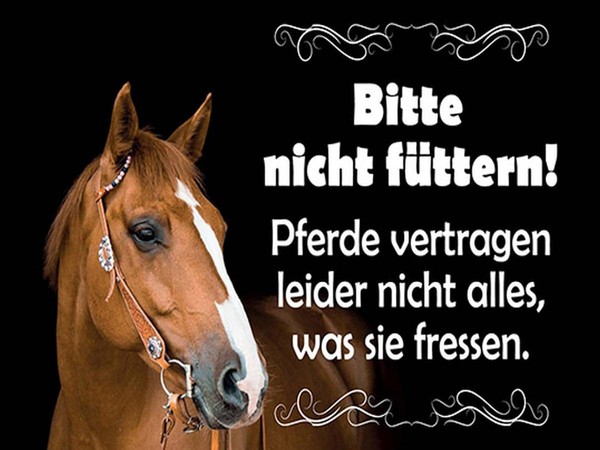 Holzschild 30X40 Cm Bitte Nicht FüTtern Pferde Deko Geschenk Holz Schild-image
