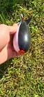 Bild 9 von 11