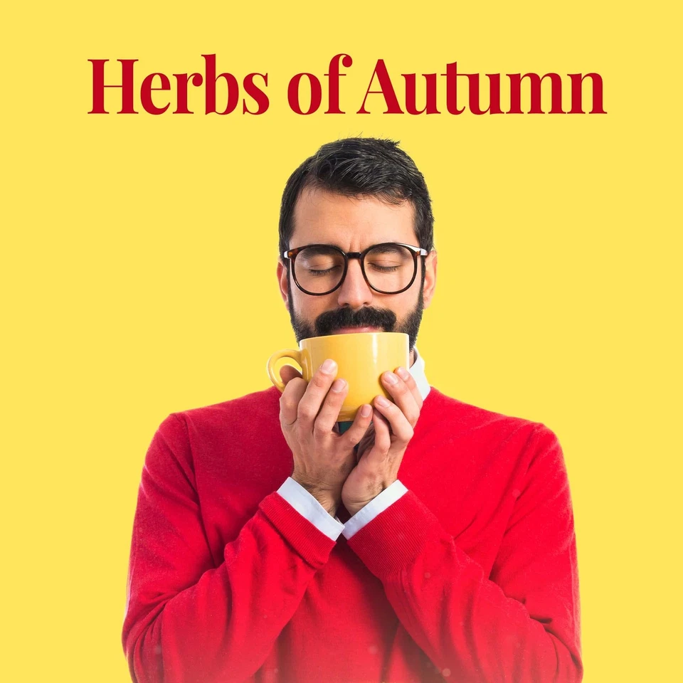 Chá de ervas de maçã quente 36 unidades mistura sem cafeína sem glúten e açúcar - Imagem 2 de 4