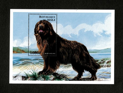 VINTAGE CLASSICS - Mali 1997 - Dog, Newfoundland, Animals - Souvenir Sheet - MNH - Picture 1 of 1