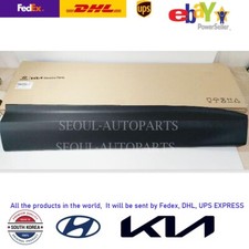 🚀 Express 🚀 877222W000CA FRONT Door  Garnish RIGHT For 13-16 Hyundai SANTA FE