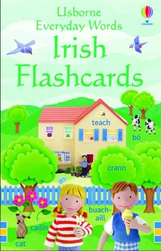 Usborne Everyday Words: Irish Flashcards (Everyday Words Flashcards) - Image 7