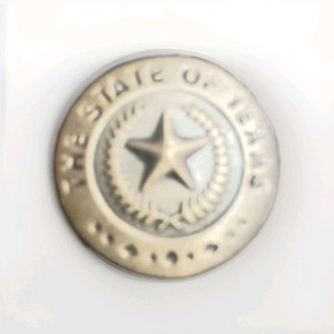 State of Texas Seal Lapel Pin Lone Star Gold Tone Pinback