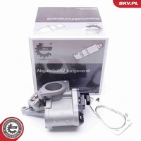 Agr Ventil Esen Skv 14SKV165 12V FüR Renault Laguna 2 KG0 BG0 Megane BM0 KM0 LM0