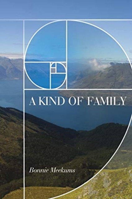 A Kind of Family by Bonnie Meekums (Paperback Book)