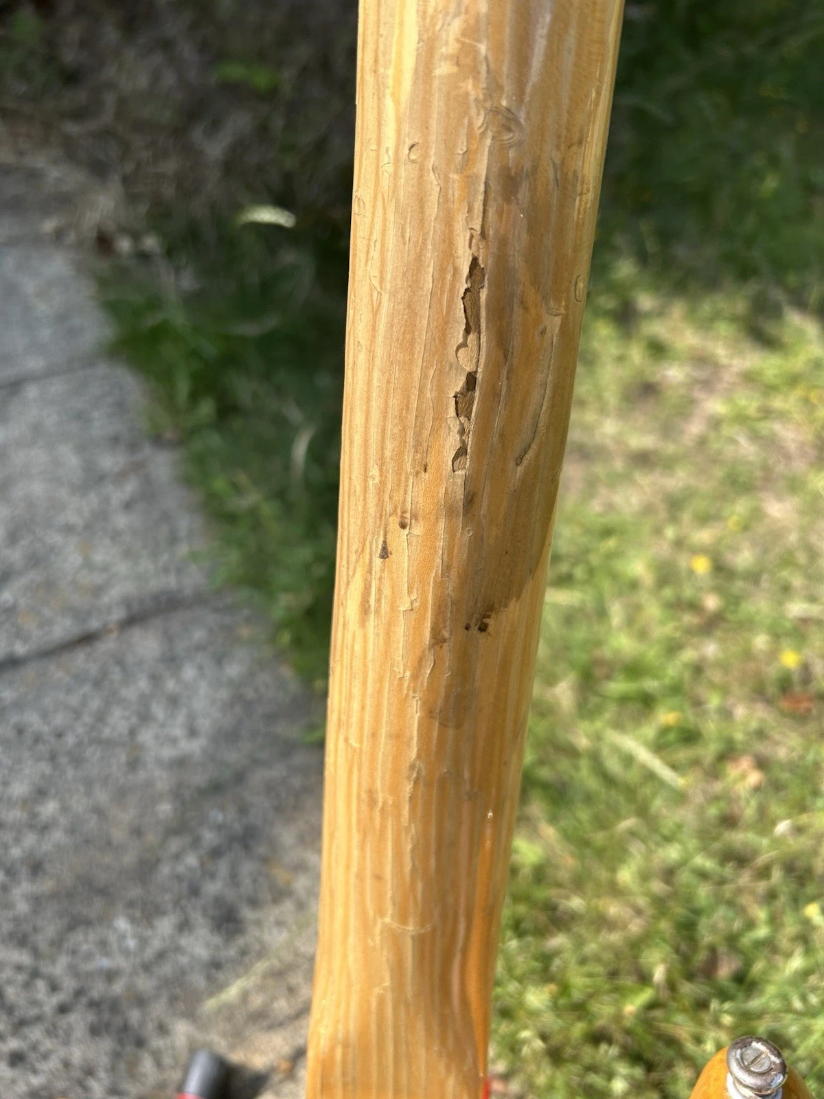 Picture 13 of 24