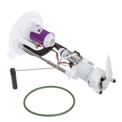 Delphi FG0846 Fuel Pump Module Assembly For Ford F-150/Lincoln Mark LT 04-08