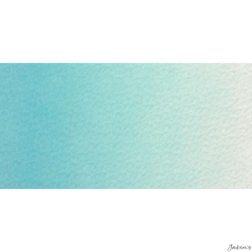 Turner : Artist's Watercolour Paint : 15ml : Freshwater