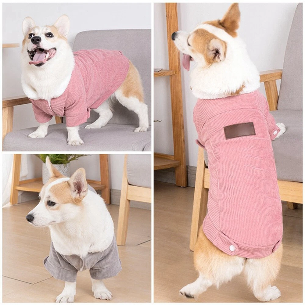 Dog jacket best sale target