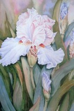 Ceramic Backsplash Tile Mural Floral Flower Kitchen/Bathroom - Iris - Linda Lord
