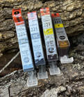 GENUINE CANON PIXMA 221 Printer Ink; 2 Yellow & 2 Black, sealed in shrink wrap — photo 1