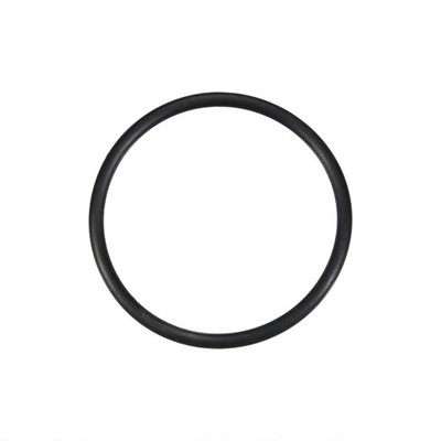 Augustin Group O-Ring Wasserpumpe klein 3,53 x 44,04 17289680