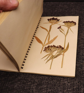 Vintage Unique Album filled with Page of  Pressed Dried Wild Flowers MCM