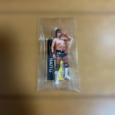 Tetsuya Naito Shin-Nippon Premium Kuji Acrylic Stand
