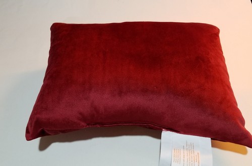Celebrate Fall Together Brand 8 x 11 Decorative Pillow Give Thanks Always - Picture 2 of 3
