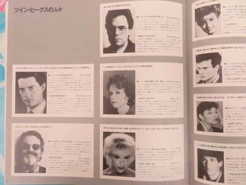 Twin Peaks Laserdisc LD 29 episodes Complete Box David Lynch - Imagen 13 de 13